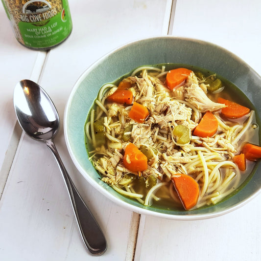Instant Pot Chicken Noodle Soup